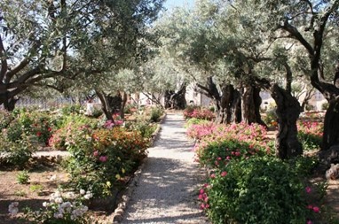 Гефсиманский сад 