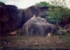 Зоопарк округа Седжвик