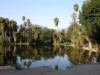 Ботанический сад округа Лос-Анджелес