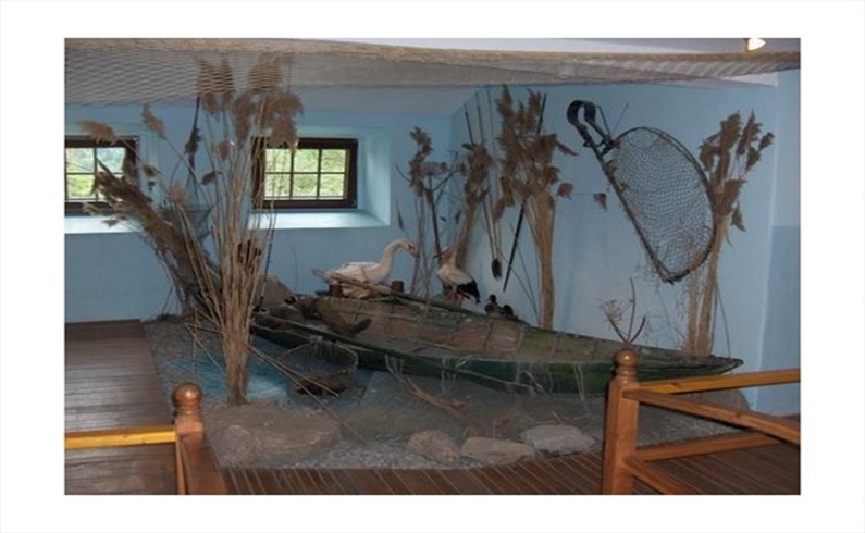 внутри музея рыболовства