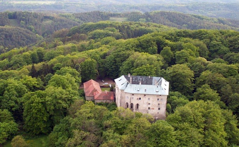 Замок в густом лесу