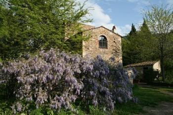 Il Molendino Bed & Breakfast Calci