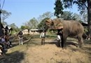 Gaida Wildlife Camp Lodge Chitwan