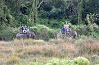 Gaida Wildlife Camp Lodge Chitwan