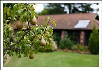 Felbrigg Lodge