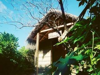 Adaaran Ayurveda Village Meedhupparu Raa Atoll