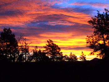 Best Western Inn of Pinetop