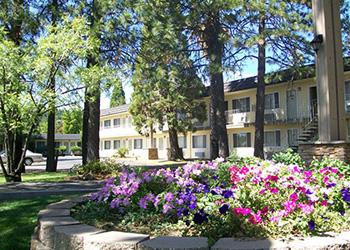 Best Western Gold Country Inn Grass Valley