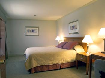 BEST WESTERN PLUS Mountain View Inn