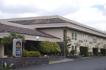 Best Western Plus Village Inn