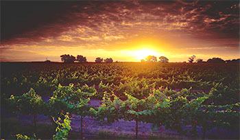 BEST WESTERN PLUS I-5 Inn & Suites