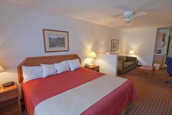 Best Western Inn & Suites Copperas Cove