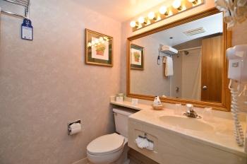 BEST WESTERN Naperville Inn