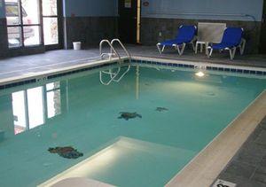 Comfort Suites Elkton