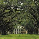 Oak Alley Plantation