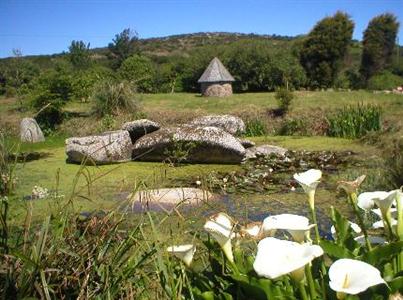 Sweetwater Trout Farm Towednack St Ives