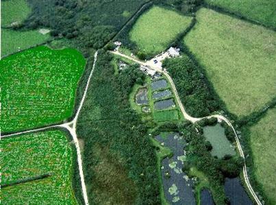 Sweetwater Trout Farm Towednack St Ives