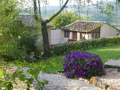 Il Paggino Farmhouse Radda in Chianti