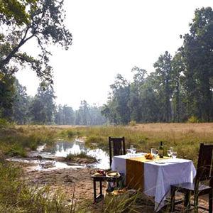 Salvan Resort Bandhavgarh