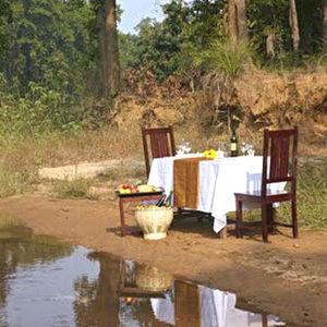 Salvan Resort Bandhavgarh