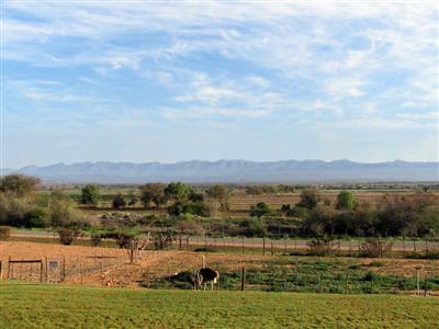 Mooiplaas Guesthouse Oudtshoorn