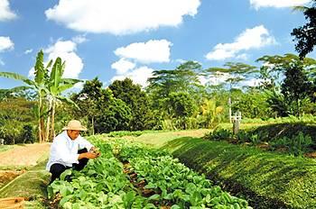 Bagus Jati Health & Wellbeing Retreat