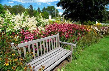 Colonial Gables Oceanfront Village Rentals Belfast (Maine)