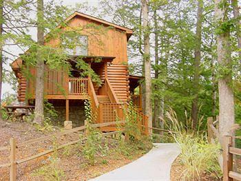 Mountain Shadows Log Home Resort