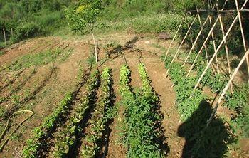 Tuscany Rural Bed & Breakfast Roccastrada