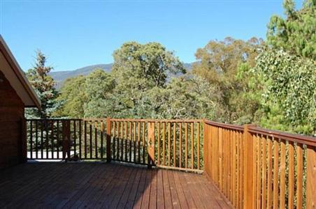 Mole Creek Lodge