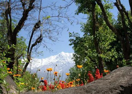 Villa Paradiso Dharamshala