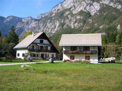 Apartments Alpik At Bohinj Lake