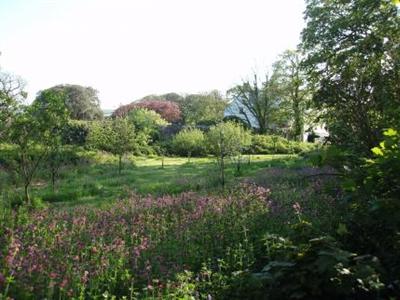 Cuffern Manor Bed and Breakfast Haverfordwest