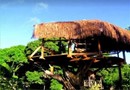 Art Jungle Eco Lodge