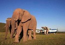 Addo Elephant Back Safaris and Lodge