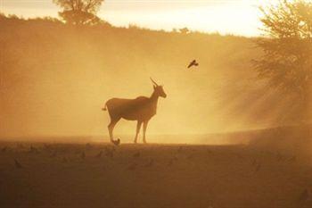 Addo Elephant Back Safaris and Lodge