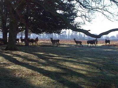 Bushy Park Lodge London