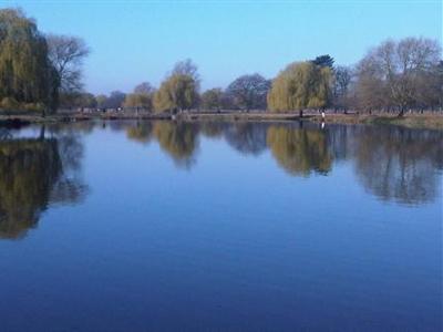 Bushy Park Lodge London