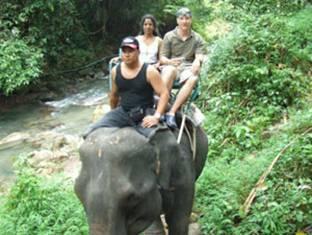 Phang Nga River Lodge