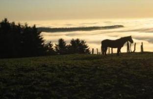 Hotel Panoramablick Wildewiese