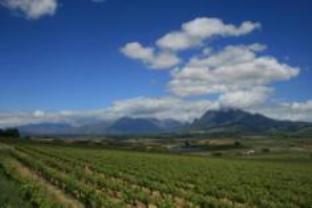 Seidelberg Wine Estate Country Houses Paarl