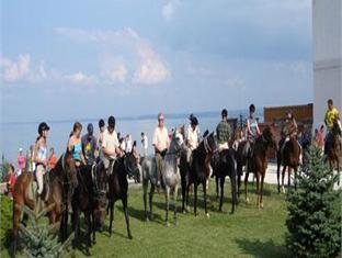 Kocsi Csarda Galopp Lovas Udulofalu Hotel Zamardi