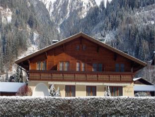 Haus Salzmann Apartments Bad Gastein