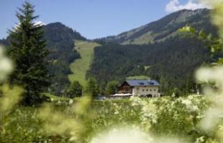 Alpengasthof Heutal Hotel Unken