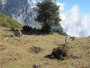 Hosteria Picos De Europa Potes