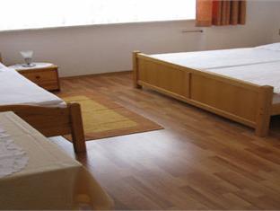 Hotel Villa Hodak Dreznik Grad