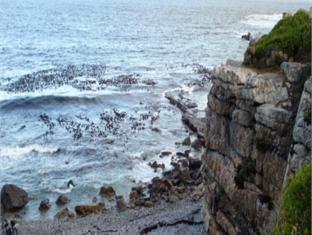 Walkerbay Manor Guest House Hermanus