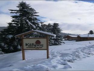 Kedros Village Hotel Karpenisi