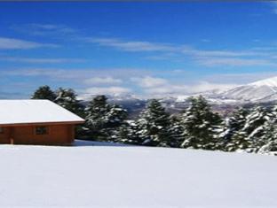 Kedros Village Hotel Karpenisi