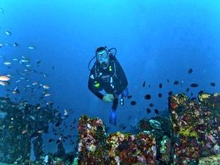 Blue Ribbon Divers & Sunsplash Resort Puerto Galera